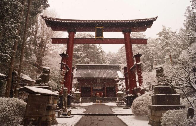 Tokyo: Mt.Fuji Private Sightseeing Tour Eng Speaking Driver - Included Amenities