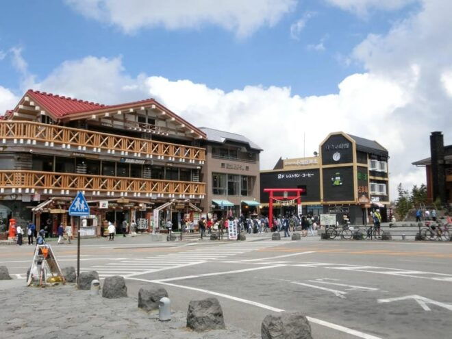 Tokyo: Mt.Fuji Private Sightseeing Tour Eng Speaking Driver - Driver and Pickup Information