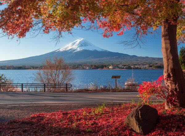 Tokyo: Mt.Fuji Private Sightseeing Tour Eng Speaking Driver - Frequently Asked Questions