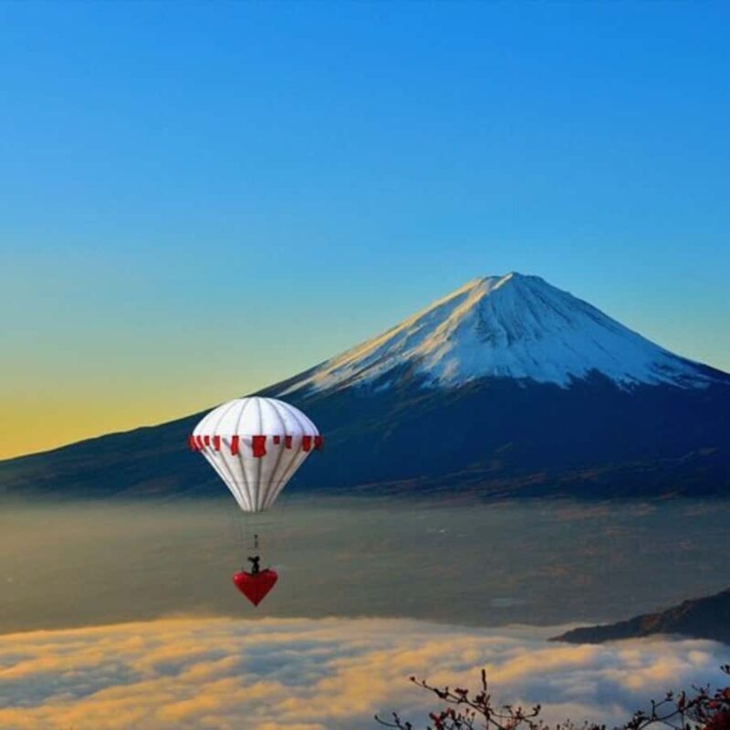 Tokyo: Mt Fuji Private Tour Customizable By English Driver - Final Thoughts