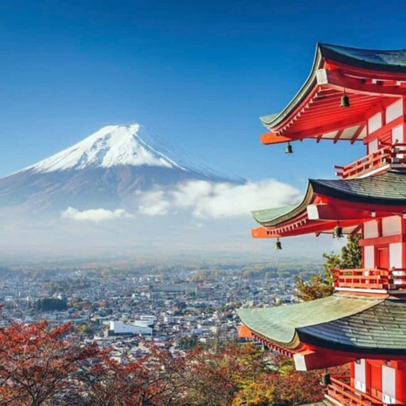 Tokyo: Mt Fuji Private Tour Customizable By English Driver - Introduction