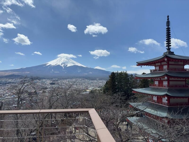 Tokyo: Mt. Fuji Private Tour with Kawaguchi lake - Analyzing the Value: Is This Tour Worth It?