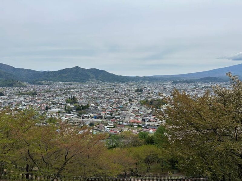 Tokyo: Mt. Fuji Private Tour with Kawaguchi lake - FAQ