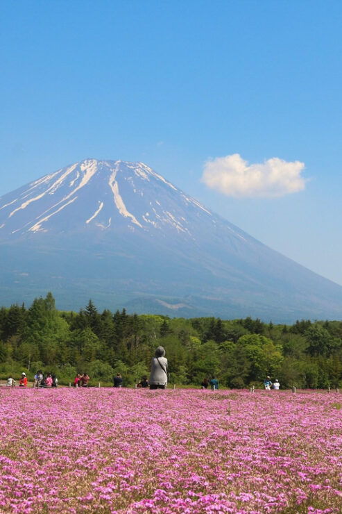Tokyo: Mt.Fuji Private Tour With Pick & Drop Service - Good To Know