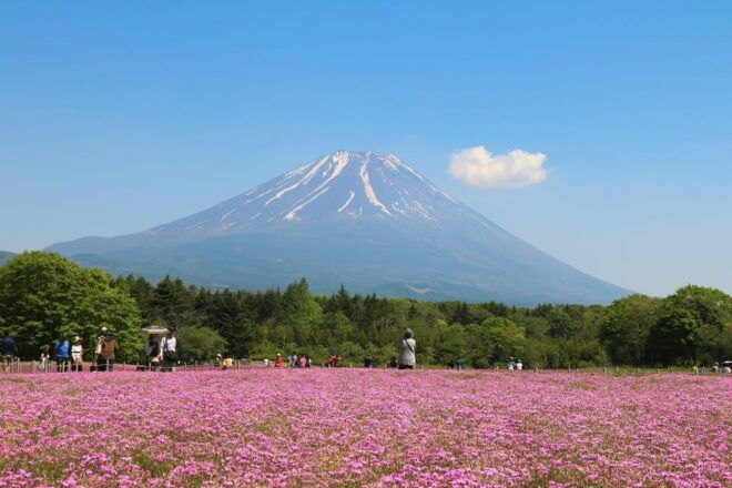 Tokyo: Mt.Fuji Private Tour With Pick & Drop Service - Attractions and Cultural Significance