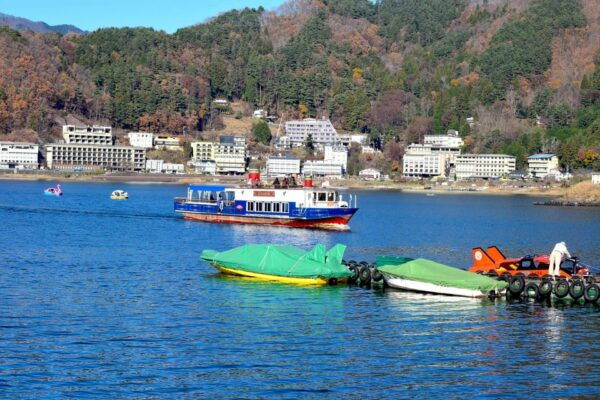 Tokyo: Mt.Fuji Private Tour With Pick & Drop Service - Customer Reviews and Experiences