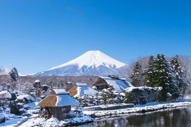 Tokyo: Mt Fuji Signature 6 Scenic Spots Tour & Lake Yamanaka - A Deep Dive into the Itinerary: What to Expect