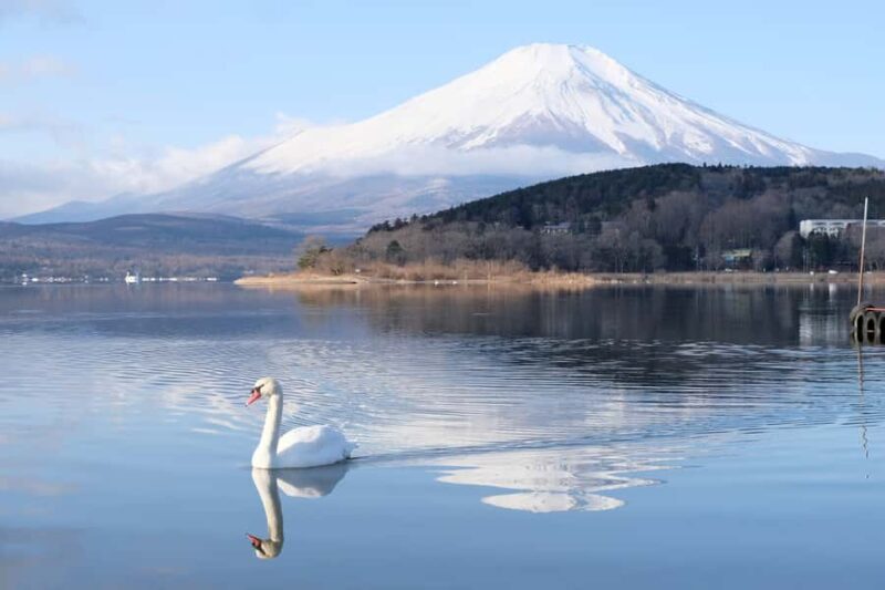 Tokyo: Mt Fuji Signature 6 Scenic Spots Tour & Lake Yamanaka - The Value of This Tour