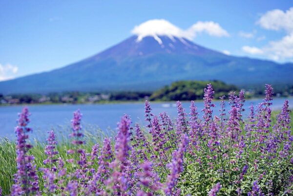 Tokyo: Mt Fuji Trip With Kawaguchiko Ropeway and Matcha Tea - Tips for Travelers