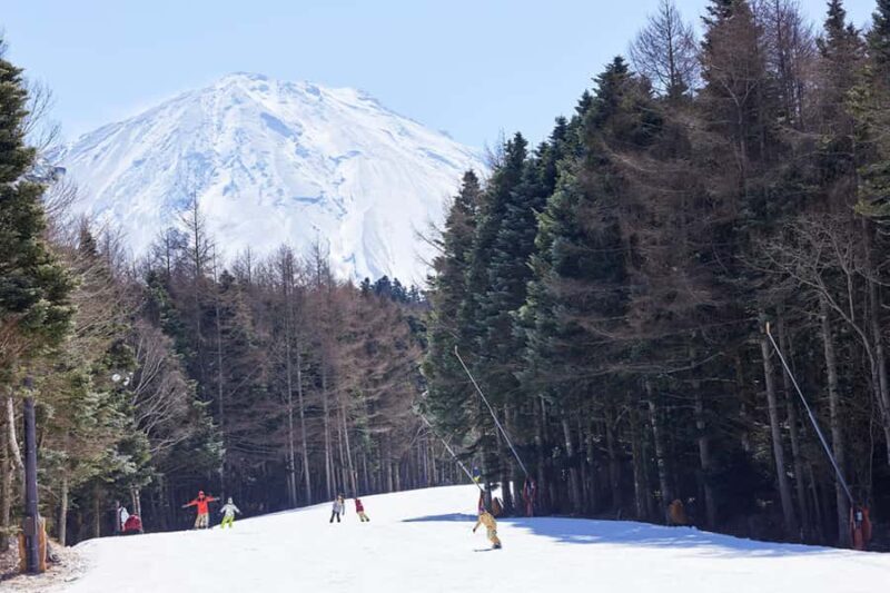 Tokyo: Mt. Fuji View with Fujiten Snow Fun & Oishi Park Tour - Good To Know
