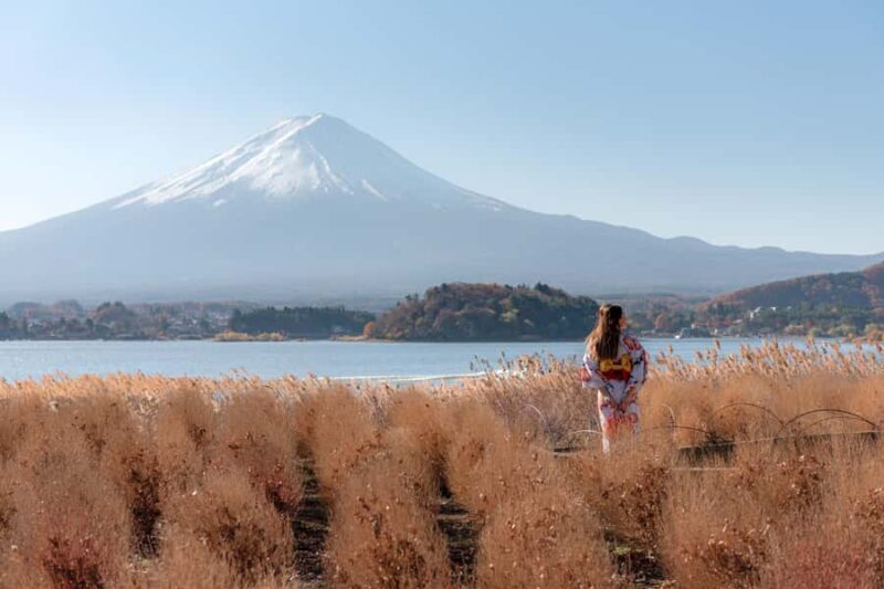 Tokyo: Mt. Fuji View with Fujiten Snow Fun & Oishi Park Tour - Analyzing the Value