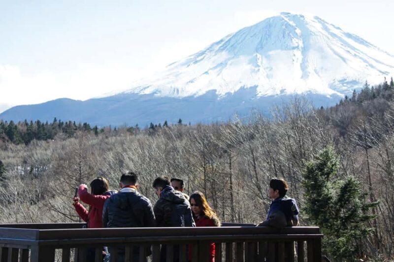 Tokyo: Mt. Fuji View with Fujiten Snow Fun & Oishi Park Tour - FAQ