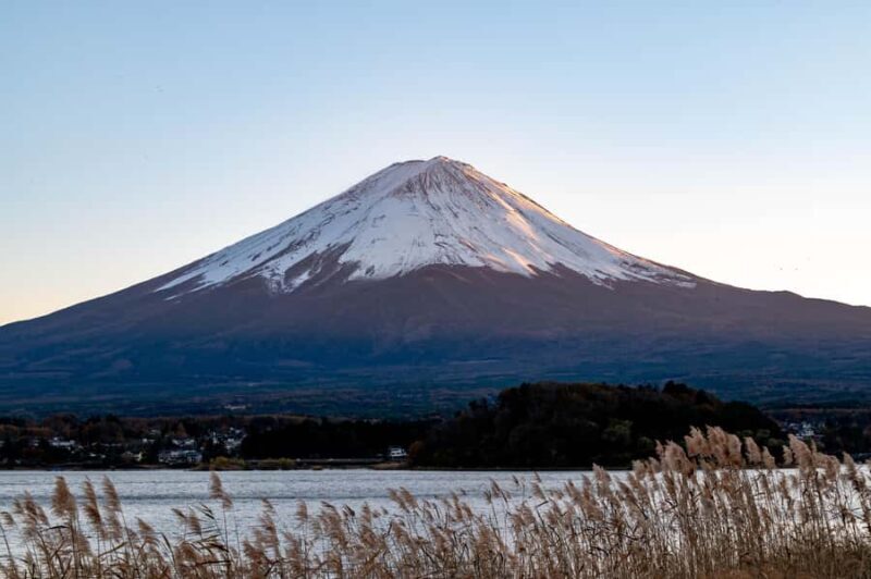 Tokyo: Mt. Fuji View with Fujiten Snow Fun & Oishi Park Tour - The Experience in Detail