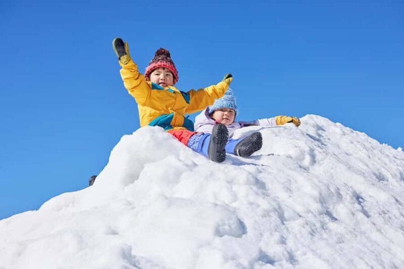 Tokyo: Mt. Fuji View with Fujiten Snow Fun & Oishi Park Tour - FAQs