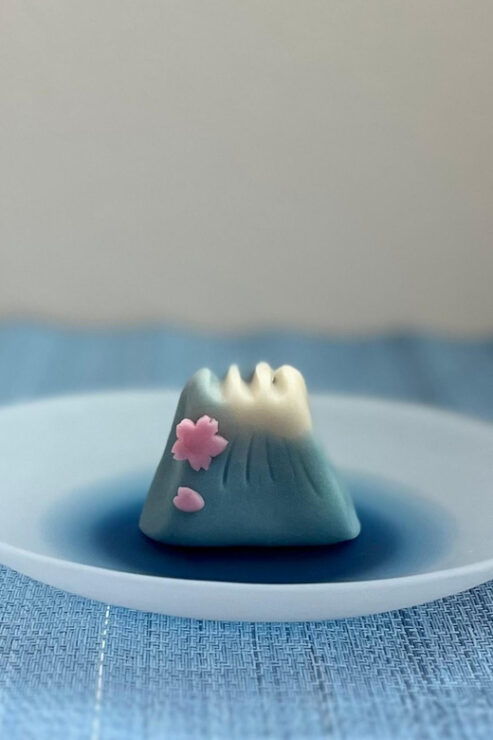 Tokyo: Mt. Fuji Wagashi & Tea Trial Tour in Japanese Garden - Good To Know