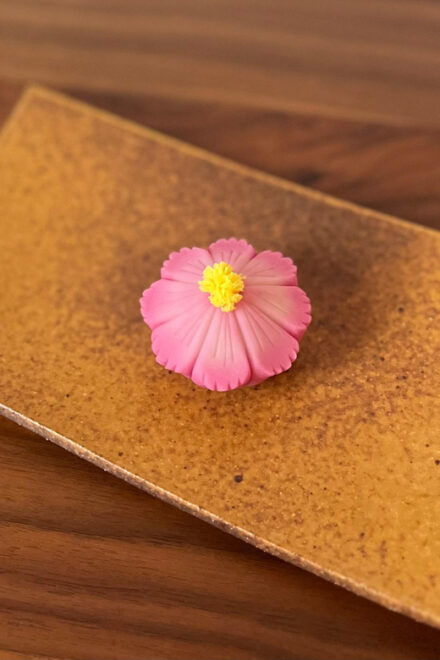 Tokyo: Mt. Fuji Wagashi & Tea Trial Tour in Japanese Garden - Participant Requirements and Restrictions