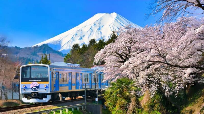 Tokyo: Mt. Fuji,Kawaguchi Lake,Scenic Cruise & Fujikyu Train - The Itinerary in Detail