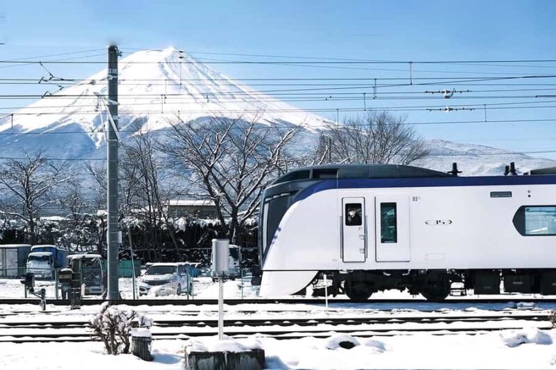 Tokyo: Mt. Fuji,Kawaguchi Lake,Scenic Cruise & Fujikyu Train - What the Reviews Say