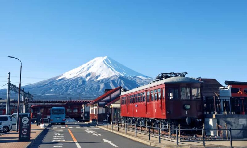 Tokyo: Mt. Fuji,Kawaguchi Lake,Scenic Cruise & Fujikyu Train - Good To Know