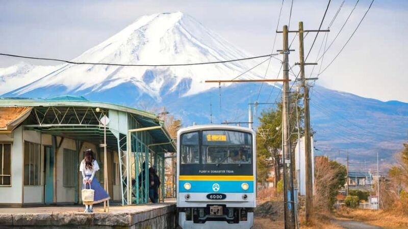 Tokyo: Mt. Fuji,Kawaguchi Lake,Scenic Cruise & Fujikyu Train - A Closer Look at the Tour Experience