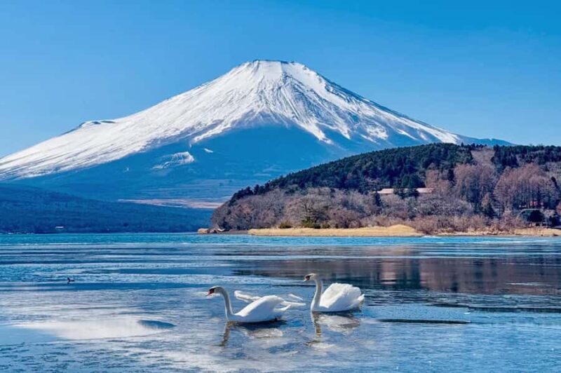 Tokyo: Mt. Fuji,Kawaguchi Lake,Scenic Cruise & Fujikyu Train - Final Words