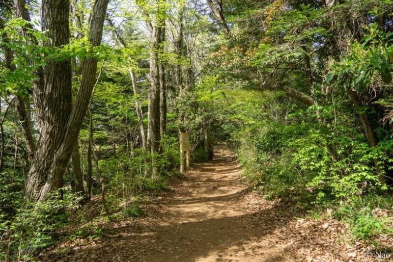 Tokyo: Mt. Takao Nature & Culture Hike with Private Guide - Good To Know