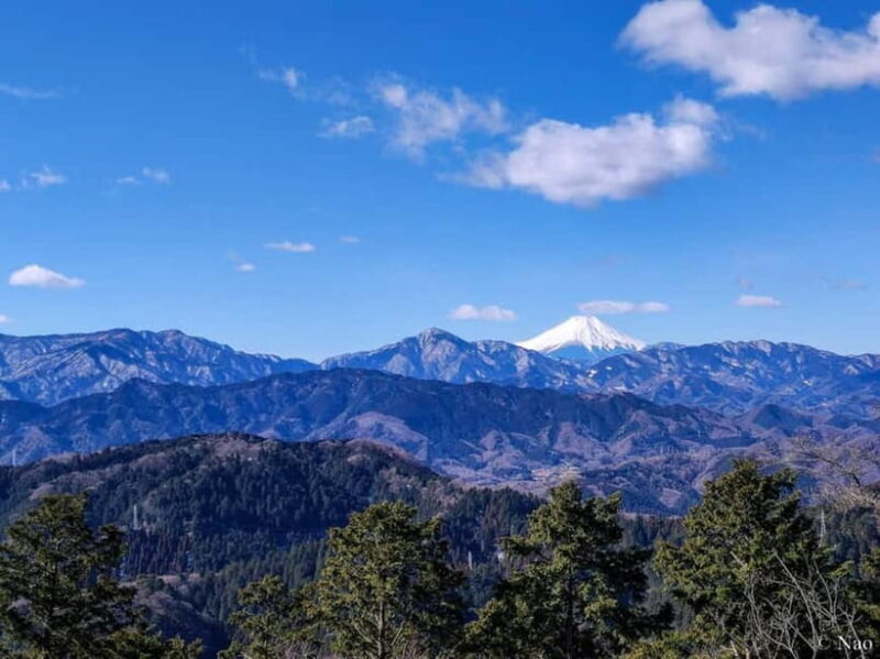 Tokyo: Mt. Takao Nature & Culture Hike with Private Guide - The Itinerary in Detail