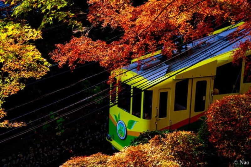 Tokyo: Mt. Takao Nature & Culture Hike with Private Guide - Final Thoughts