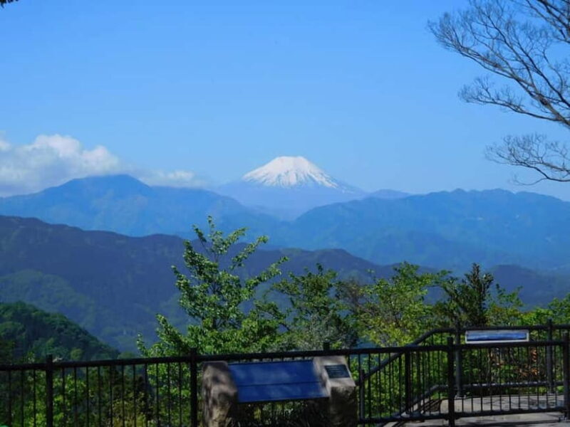 Tokyo: Mt Takao Tour with Ramen and Tattoo-Okay Hot Spring - Good To Know  