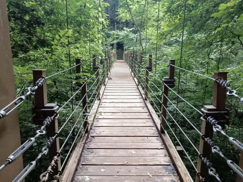 Tokyo: Mt Takao Tour with Ramen and Tattoo-Okay Hot Spring - The Hot Springs: Relaxation with a Unique Touch