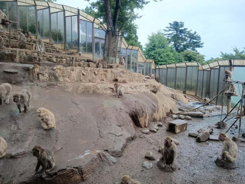 Tokyo: Mt Takao Tour with Ramen and Tattoo-Okay Hot Spring - FAQ