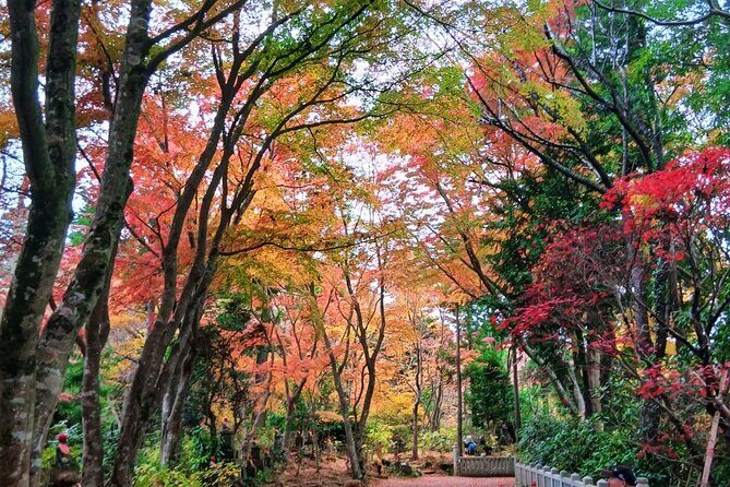 Tokyo: Mt. Takao Tour with Ramen and Tattoo-Okay Hot Spring - Good To Know