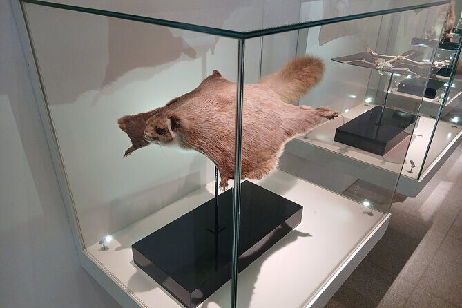 Tokyo: Mt. Takao Tour with Ramen and Tattoo-Okay Hot Spring - FAQ