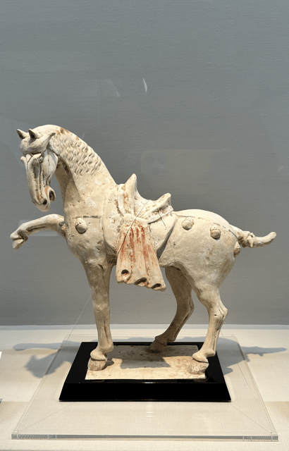 Tokyo: Museum Guided Tour in English on Chinese Art - Pricing and Reservation Details