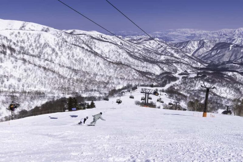 Tokyo: Naeba Ski, Kiyotsu Gorge and Fruit Picking Two Days - Tokyo: Naeba Ski, Kiyotsu Gorge and Fruit Picking Two Days – A Full Breakdown