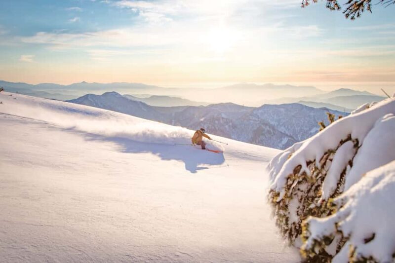 Tokyo: Naeba Ski, Kiyotsu Gorge and Fruit Picking Two Days - Practical Details That Matter