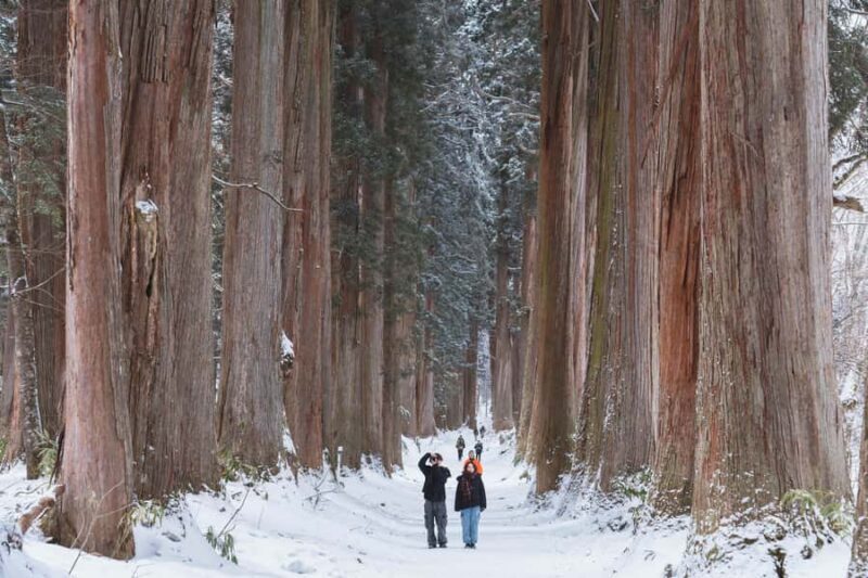 Tokyo/Nagano: Hakuba Valley & Togakushi Shrine 2-Day Tour - Final Thoughts