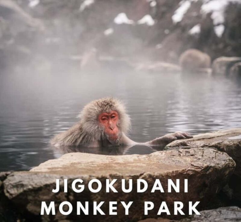 Tokyo: Nagano Private Day Trip with Snow Monkeys - FAQ
