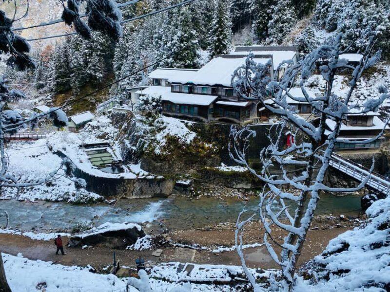 Tokyo/Nagano: private Tour with Snow Monkey Park & Temples - Jigokudani Snow Monkey Park: The Star Attraction