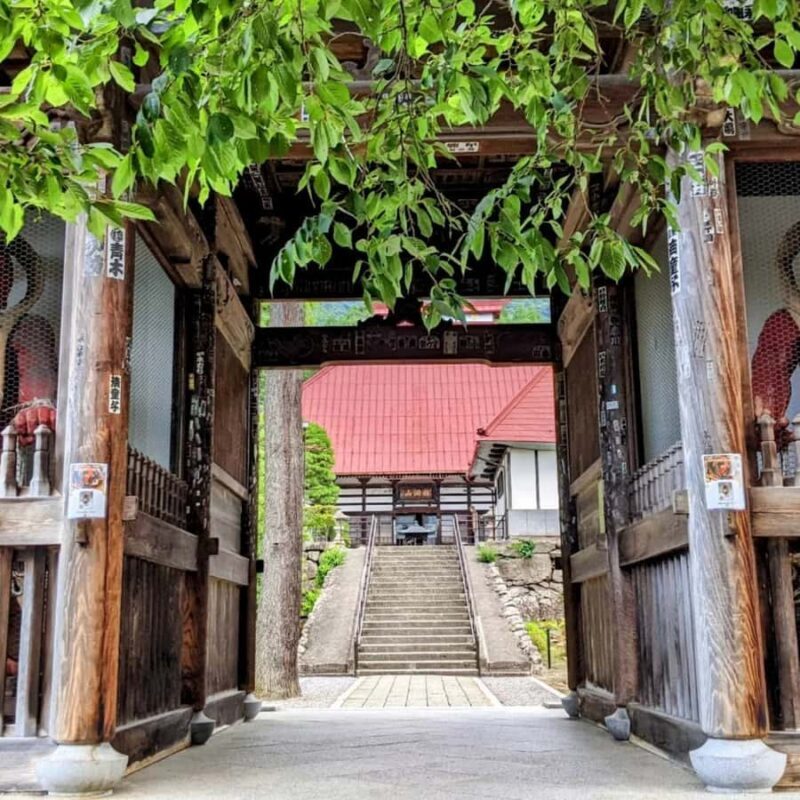 Tokyo / Nagano Snow Monkey, Obuse, Customized Private Tour - The Sum Up