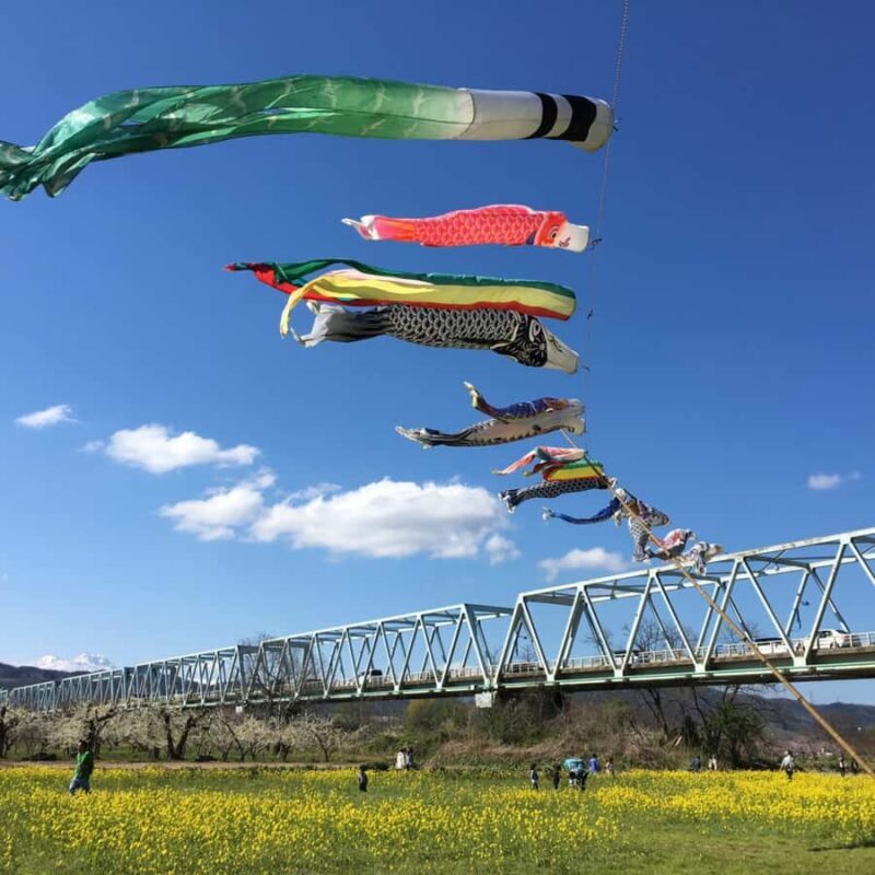 Tokyo / Nagano Snow Monkey, Obuse, Customized Private Tour - FAQ