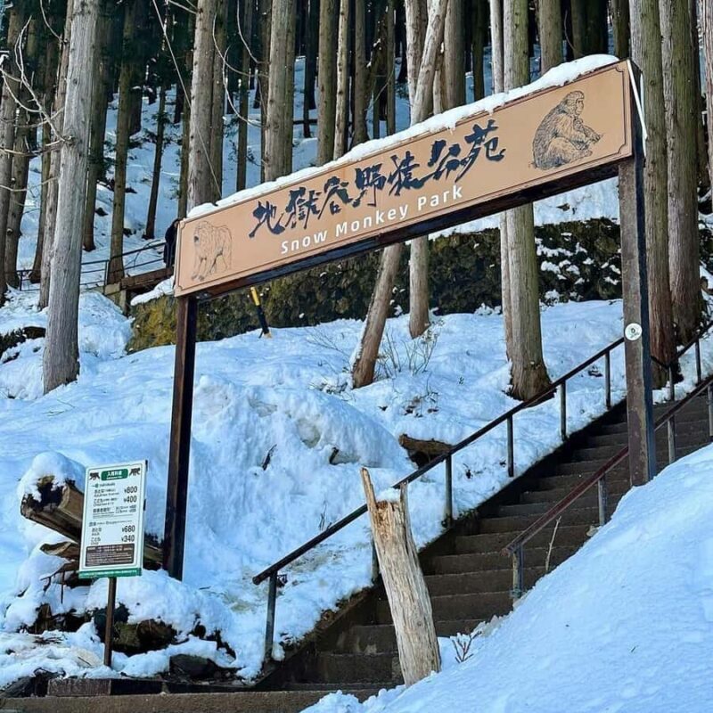 Tokyo & Nagano: Snow Monkey Sightseeing Private Guided Tour - An In-Depth Look at the Tour Experience
