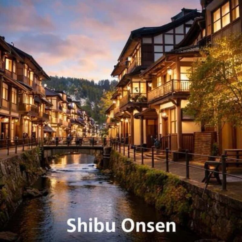 Tokyo & Nagano: Snow Monkey Sightseeing Private Guided Tour - Who Will Love This Tour?