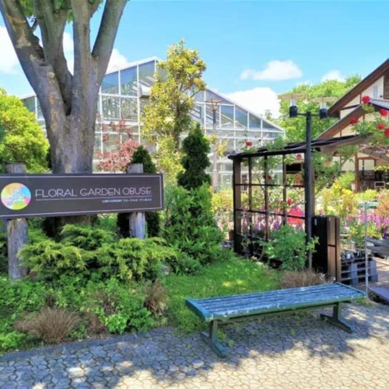 Tokyo & Nagano: Snow Monkey & Zenkoji Temple Adjustable Tour - FAQ