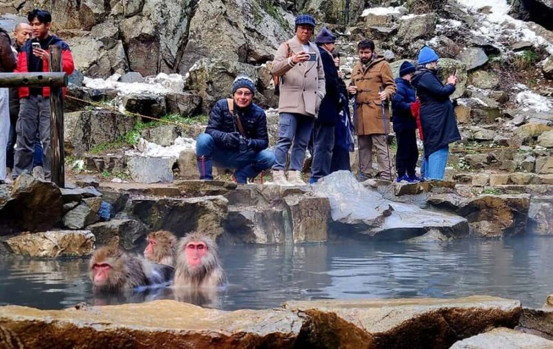 Tokyo: Nagano Snow Monkeys and Zenko-ji Temple Day Trip - Guides and Language Support