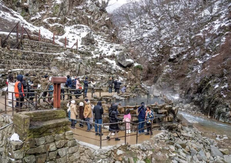 Tokyo: Nagano Snow Monkeys and Zenko-ji Temple Day Trip - Price and Value