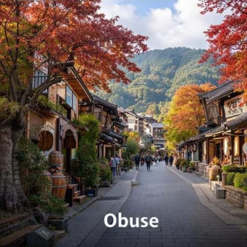 Tokyo/Nagano: Snow Monkeys Private Tour Full Customizable - An In-Depth Look at the Tour Experience