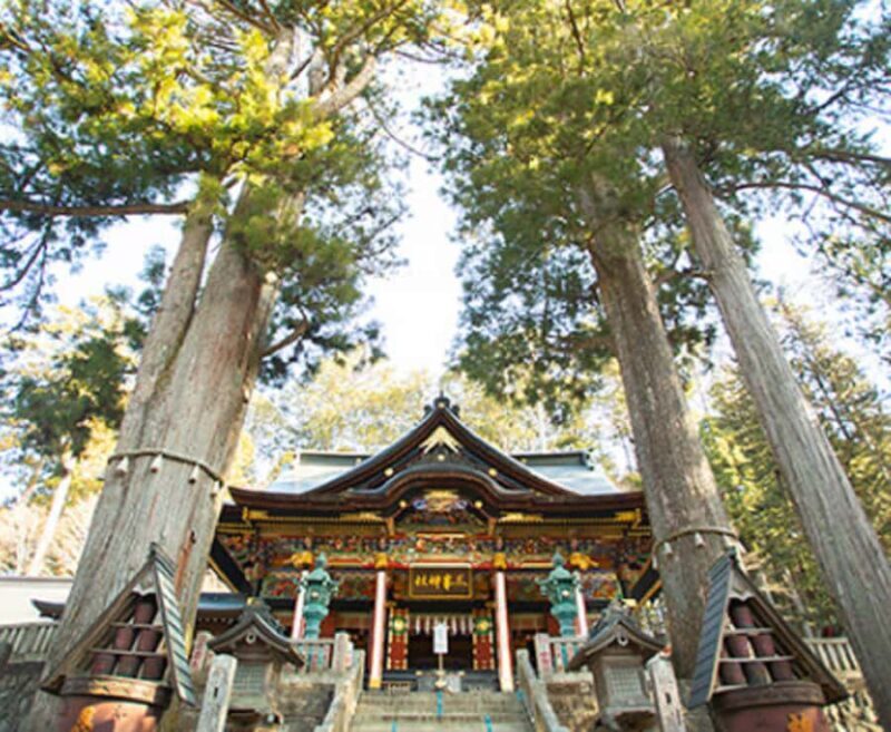 Tokyo: Nagatoro, Mitsumine Shrine & Waterfalls One-Day Tour - Good To Know  