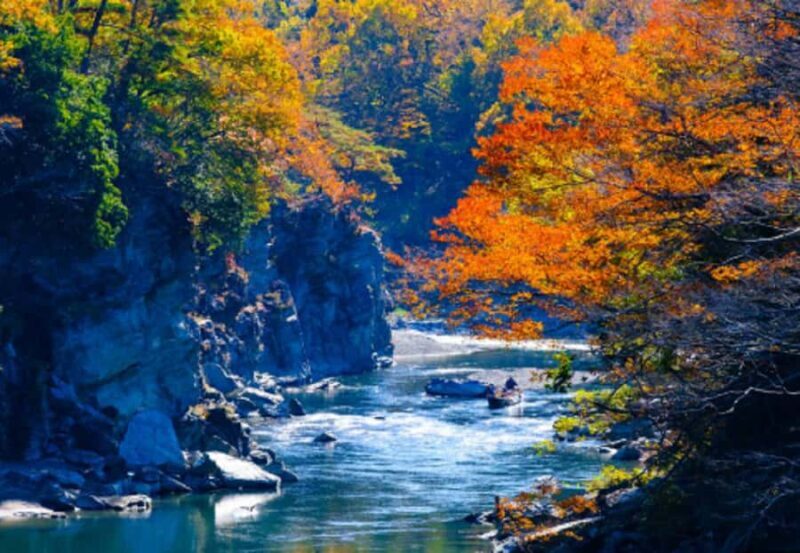 Tokyo: Nagatoro, Mitsumine Shrine & Waterfalls One-Day Tour - Who Will Love This Tour?  