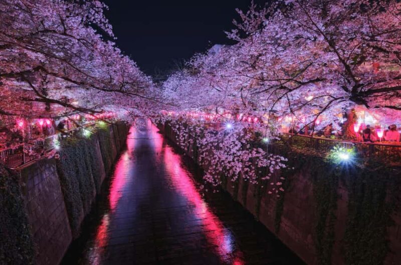 Tokyo: Nakameguro Sakura Riverside Walk with Street Stalls - FAQ